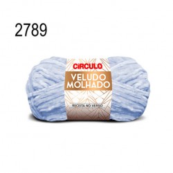 VELUDO MOLHADO (100GR) - COR 2789
