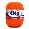 CLEA 1000 COR 4445