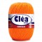 CLEA 1000 COR 4456