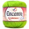 NOVELO ENCANTO SLIM 100G COR 5203