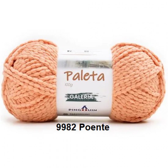 PINGOUIN PALETA (100GR) - 9982
