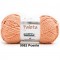 PINGOUIN PALETA (100GR) - 9982