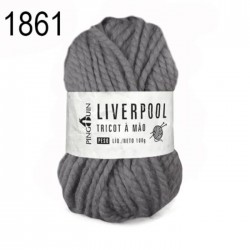 NOVELO LIVERPOOL 100G (NM 2/1) - 1861